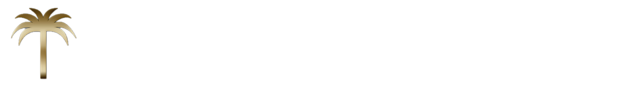 Palm logo